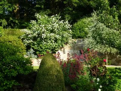 Blick in den Garten