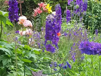Gartenimpressionen