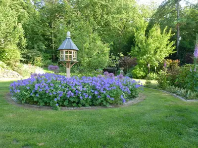 Blick in den Garten