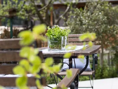 Ferienwohnung für 2 Personen (25 m²) in Bizau 6/10