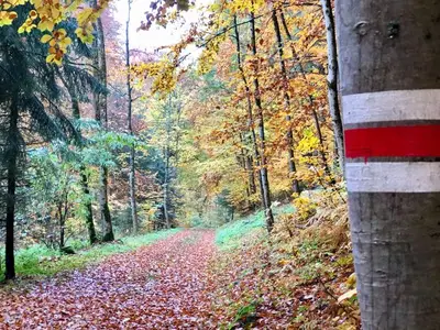 Ferienwohnung für 5 Personen (80 m²) in Bizau 7/10