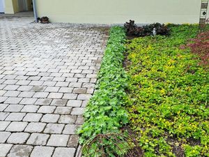 23661104-Ferienwohnung-2-Blaibach-300x225-1