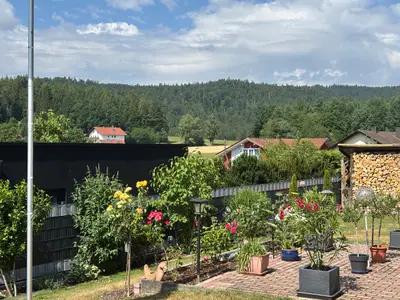 Blumen im Garten