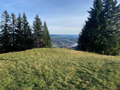 Blick zum Alpsee