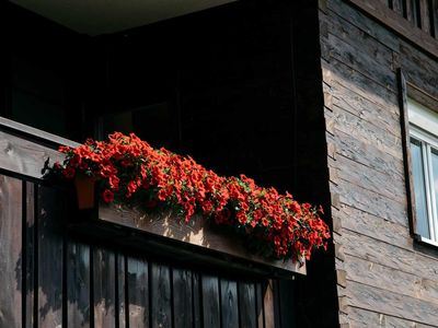 Balkonblumen Ferienwohnungen Im Rièd