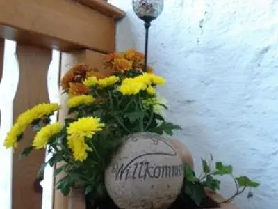 Willkommen