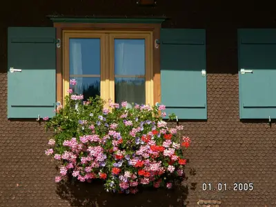 Blumenfenster
