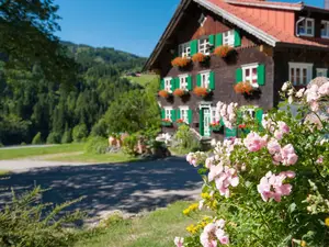 Ferienwohnung für 2 Personen (50 m²) in Blaichach
