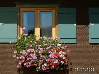 Ferienwohnung für 2 Personen (65 m²) in Blaichach 6/10