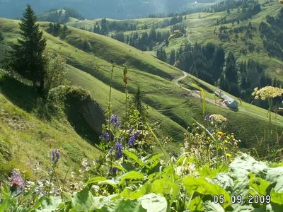 Ferienwohnung für 2 Personen (65 m²) in Blaichach 10/10