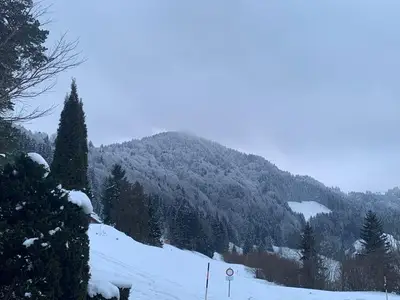 Ferienwohnung für 3 Personen (52 m²) in Blaichach 10/10