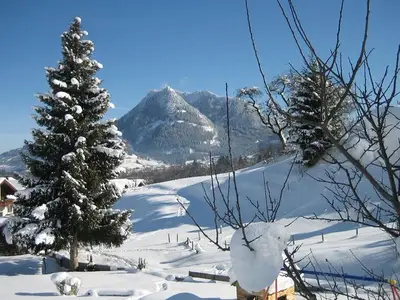 Ferienwohnung für 4 Personen (62 m²) in Blaichach 8/10