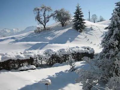 Ferienwohnung für 4 Personen (62 m²) in Blaichach 9/10
