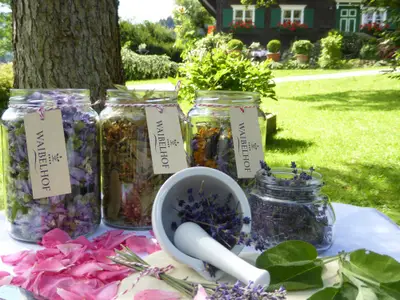 Waibelhof - Kräutertee - ganz frisch im Glas