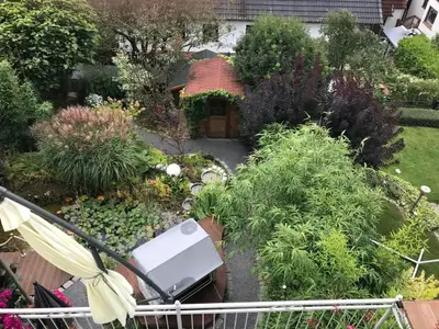Blick von Terrasse in Garten