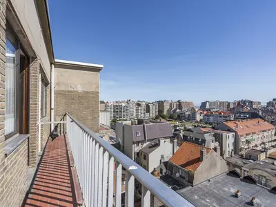 ViewSummer