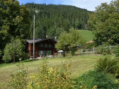 Aussicht (2)