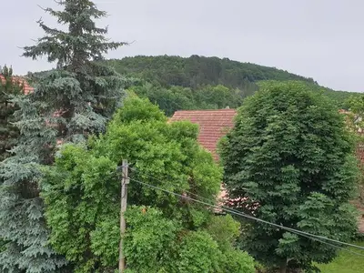 Ferienwohnung für 4 Personen (75 m²) in Blankenhain 3/10