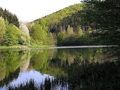 Ferienwohnung für 4 Personen (47 m²) in Blankenheim (Westfalen) 10/10