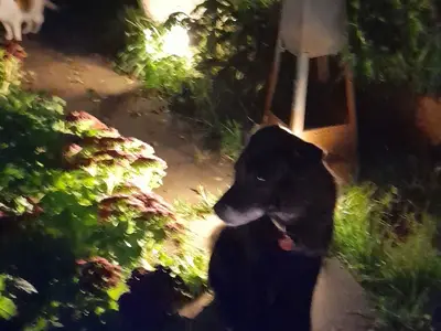 Ferienwohnung für 4 Personen (40 m²) in Blankenheim (Westfalen) 1/10