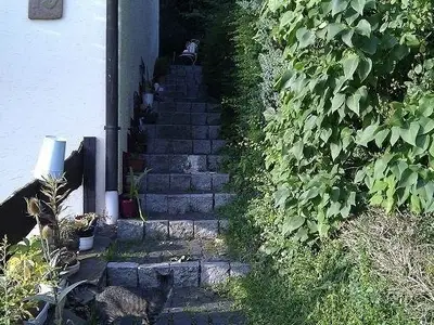 Ferienwohnung für 4 Personen (37 m²) in Blankenheim (Westfalen) 7/10