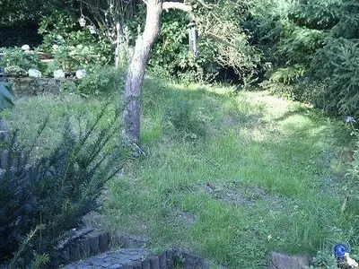 Ferienwohnung für 4 Personen (37 m²) in Blankenheim (Westfalen) 8/10