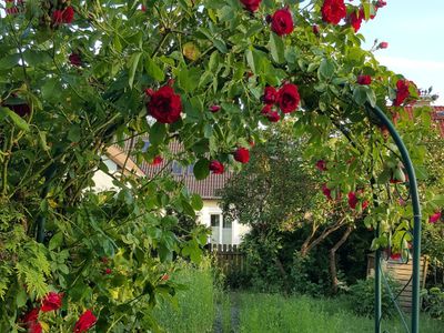 Ferienwohnung für 3 Personen (45 m²) in Blankensee 3/10