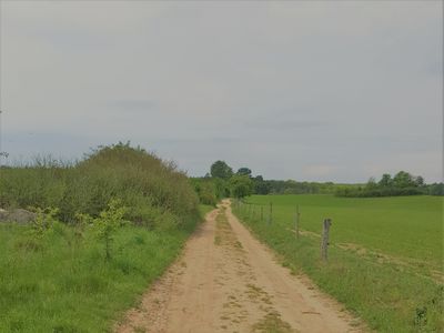 Ferienwohnung für 3 Personen (45 m²) in Blankensee 9/10