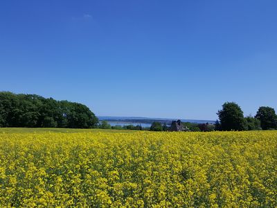 Ferienwohnung für 3 Personen (45 m²) in Blankensee 10/10