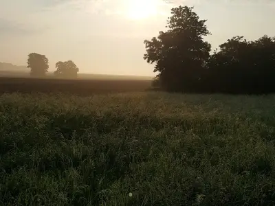 Ferienwohnung für 3 Personen (45 m²) in Blankensee 4/10