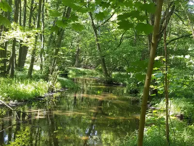 Ferienwohnung für 3 Personen (45 m²) in Blankensee 7/10