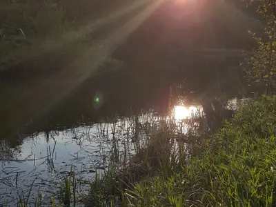 Ferienwohnung für 3 Personen (45 m²) in Blankensee 8/10