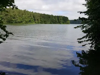 Ferienwohnung für 3 Personen (50 m²) in Blankensee 3/10