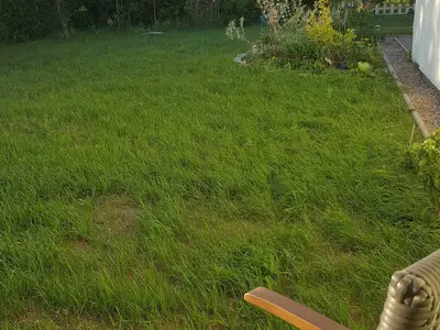 Ferienwohnung für 3 Personen (45 m²) in Blankensee 6/10