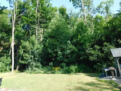 Ferienwohnung für 4 Personen (80 m²) in Blankenstein 3/10