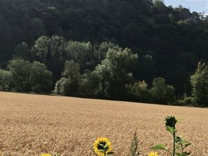 23500034-Ferienwohnung-5-Blaubeuren-300x225-5