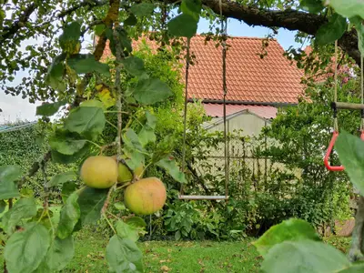 Ferienwohnung für 5 Personen (120 m²) in Blaubeuren 3/10