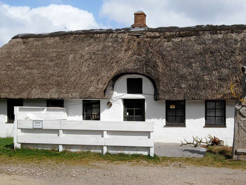 22496171-Ferienwohnung-4-Blåvand-800x600-0