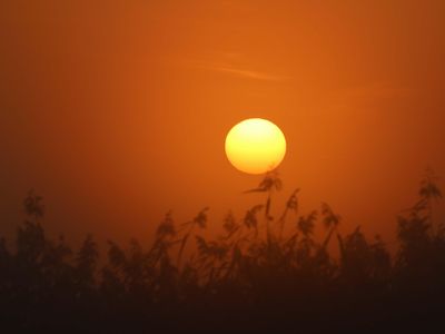 Sonnenaufgang an der Elbe