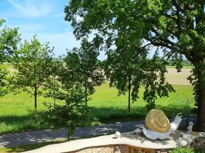 Ferienwohnung für 2 Personen (40 m²) in Bleckede 8/10