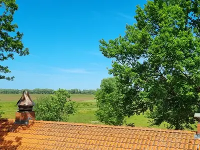 Ferienwohnung für 2 Personen (40 m²) in Bleckede 10/10