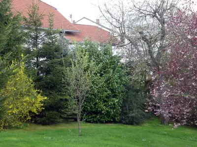 der Garten