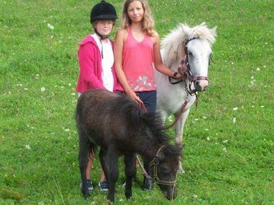 Ponys zum Reiten