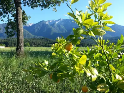 werkhof_bistrica_petzen_sommer