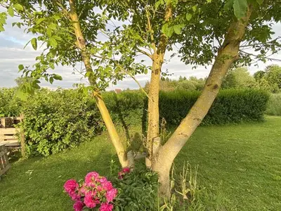 Ferienwohnung für 4 Personen (70 m²) in Blieskastel 4/10