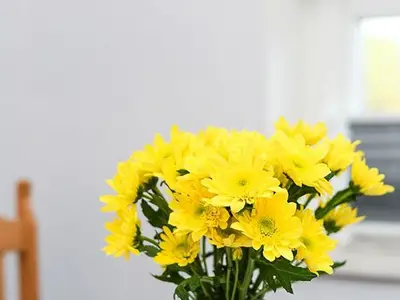 Ferienwohnung für 2 Personen (40 m²) in Neuschoo 3/10