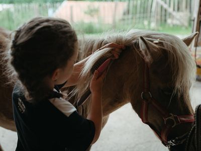 Bussjägerhof Pony Sissi