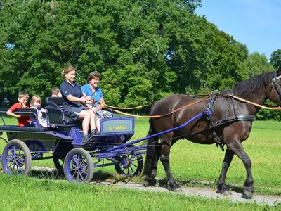 Ferienwohnung für 5 Personen (75 m²) in Böbing 9/10