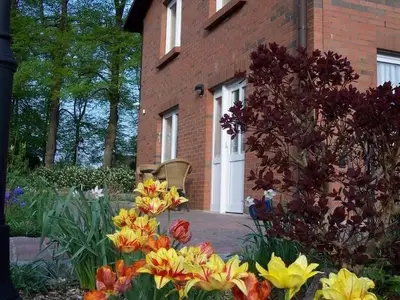 Ferienwohnung für 3 Personen (48 m²) in Mecklenburg 1/10