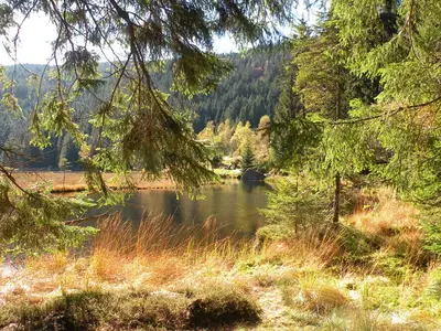 Arbersee